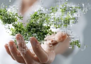 Transformations Agentur Baden-Württ. Bildarstellung von Screenshot 