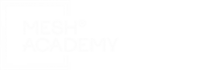MESH Academy